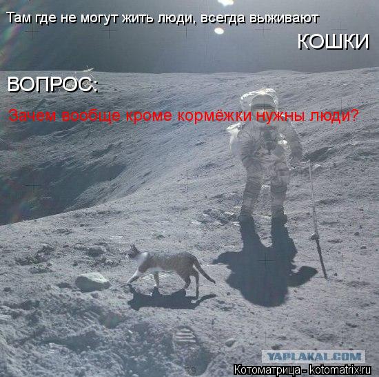 Там где не могут жить люди, всегда выживают КОШКИ ВОПРОС: Зачем вообще кроме кормёжки нужны люди?... Котоматрица: Там где не могут жить люди, всегда выживают КОШКИ ВОПРОС: Зачем вообще кроме кормёжки нужны люди?
