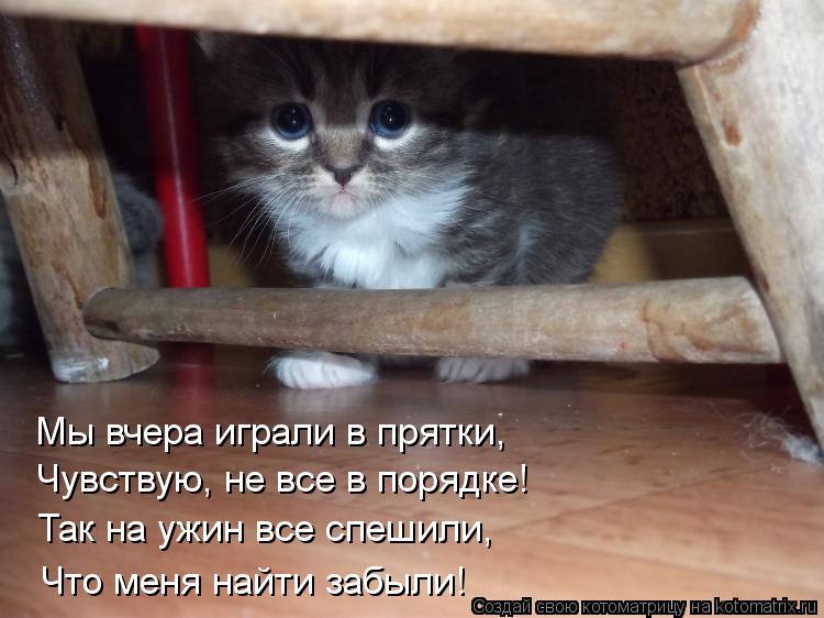 Мы вчера играли в прятки, Чувствую, не все в порядке! Так на ужин все спешили, Что меня найти забыли!... Котоматрица: Мы вчера играли в прятки, Чувствую, не все в порядке! Так на ужин все спешили, Что меня найти забыли!