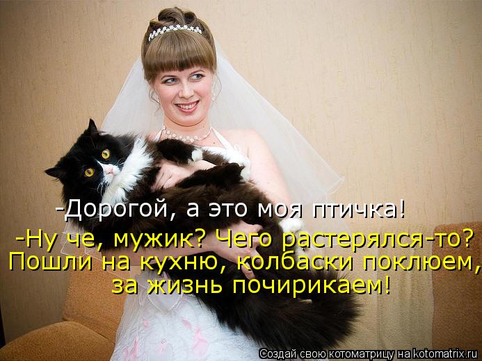 -Ну че, мужик? Чего растерялся-то? -Дорогой, а это моя птичка! Пошли на кухню, колбаски поклюем, за ж... Котоматрица: -Ну че, мужик? Чего растерялся-то? -Дорогой, а это моя птичка! Пошли на кухню, колбаски поклюем, за жизнь почирикаем!