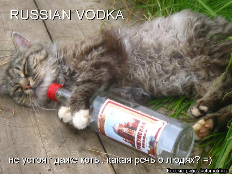Котоматрица: RUSSIAN VODKA не устоят даже коты. какая речь о людях? =)