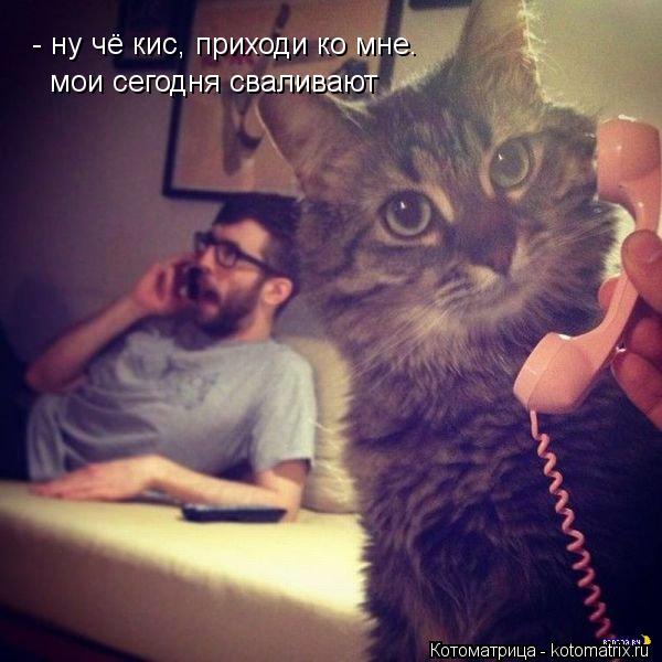 - ну чё кис, приходи ко мне. мои сегодня сваливают... Котоматрица: - ну чё кис, приходи ко мне. мои сегодня сваливают
