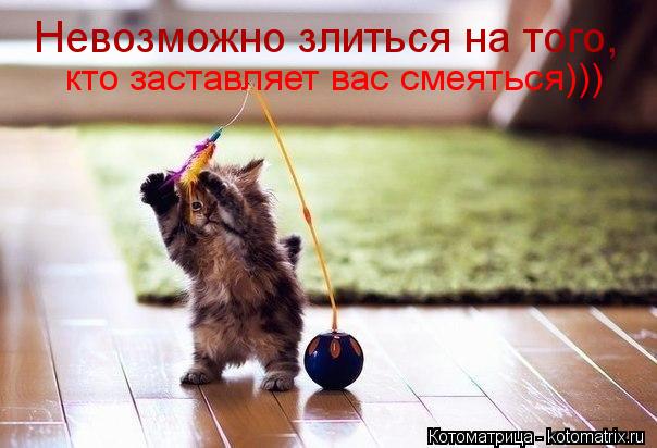 Невозможно злиться на того, кто заставляет вас смеяться)))... Котоматрица: Невозможно злиться на того, кто заставляет вас смеяться)))