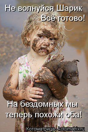 Не волнуйся Шарик Всё готово! На бездомных мы теперь похожи оба!... Котоматрица: Не волнуйся Шарик Всё готово! На бездомных мы теперь похожи оба!