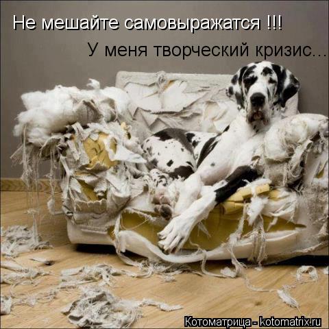 Не мешайте самовыражатся !!! У меня творческий кризис...... Котоматрица: Не мешайте самовыражатся !!! У меня творческий кризис...