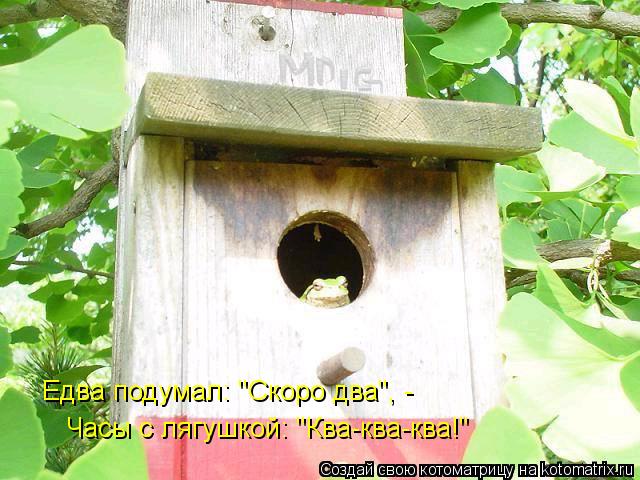 Едва подумал: "Скоро два", - Часы с лягушкой: "Ква-ква-ква!"... Котоматрица: Едва подумал: "Скоро два", - Часы с лягушкой: "Ква-ква-ква!"