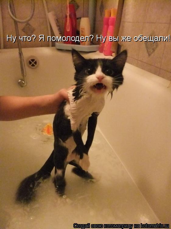 Ну что? Я помолодел? Ну вы же обещали!... Котоматрица: Ну что? Я помолодел? Ну вы же обещали!