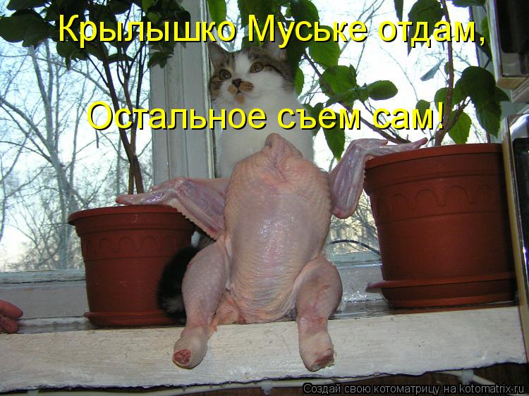 Крылышко Муське отдам, Остальное съем сам!... Котоматрица: Крылышко Муське отдам, Остальное съем сам!