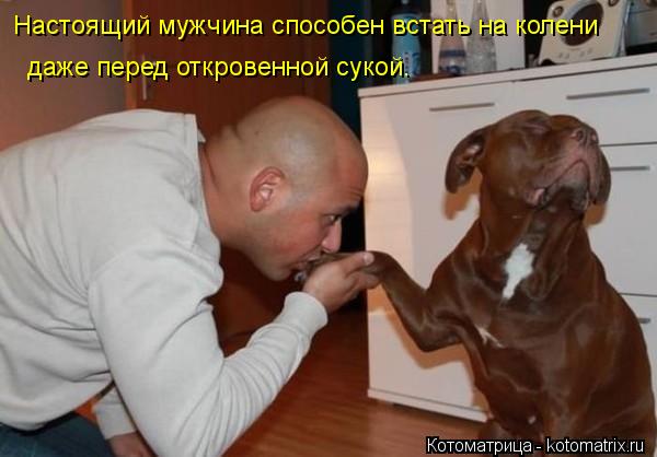 Настоящий мужчина способен встать на колени даже перед откровенной сукой.... Котоматрица: Настоящий мужчина способен встать на колени даже перед откровенной сукой.