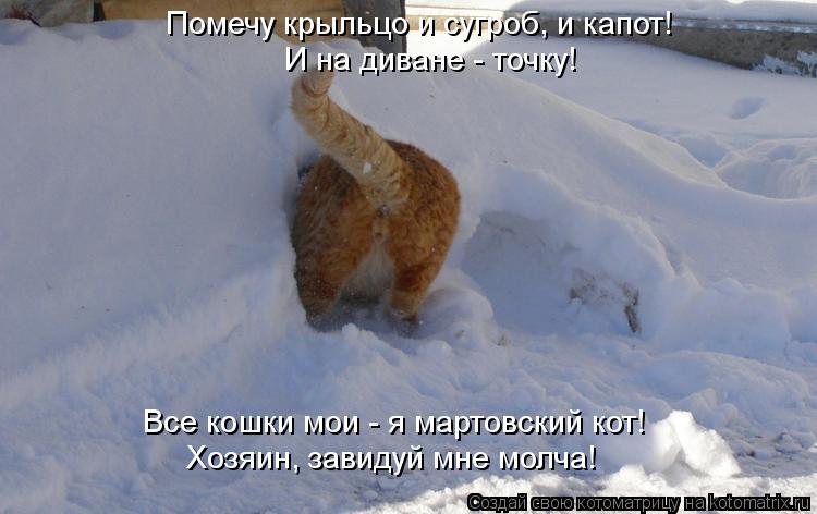 Помечу крыльцо и сугроб, и капот! И на диване - точку! Все кошки мои - я мартовский кот! Хозяин, зави... Котоматрица: Помечу крыльцо и сугроб, и капот! И на диване - точку! Все кошки мои - я мартовский кот! Хозяин, завидуй мне молча!