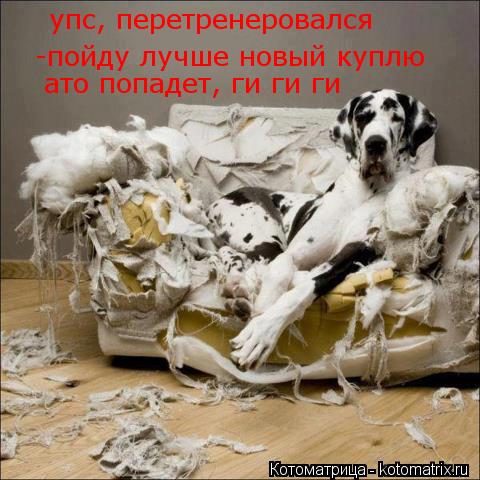 упс, перетренеровался -пойду лучше новый куплю ато попадет, ги ги ги... Котоматрица: упс, перетренеровался -пойду лучше новый куплю ато попадет, ги ги ги