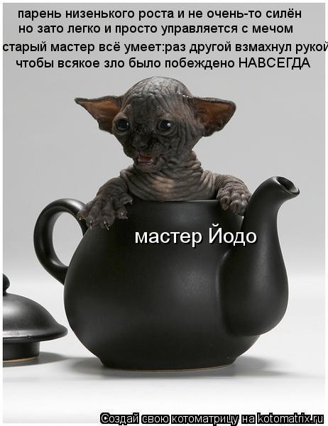 парень низенького роста и не очень-то силён но зато легко и просто управляется с мечом старый мастер ... Котоматрица: парень низенького роста и не очень-то силён но зато легко и просто управляется с мечом старый мастер всё умеет:раз другой взмахнул рукой чт