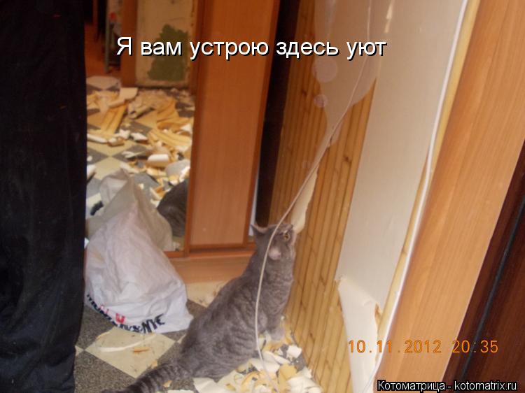 Котоматрица: Я вам устрою здесь уют