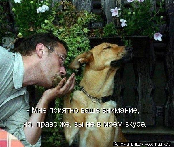 - Мне приятно ваше внимание, но, право же, вы не в моем вкусе.... Котоматрица: - Мне приятно ваше внимание, но, право же, вы не в моем вкусе.
