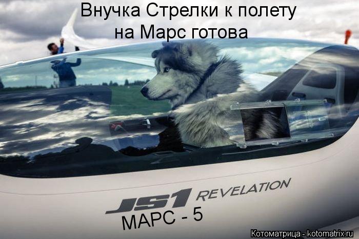МАРС - 5 Внучка Стрелки к полету на Марс готова... Котоматрица: МАРС - 5 Внучка Стрелки к полету на Марс готова