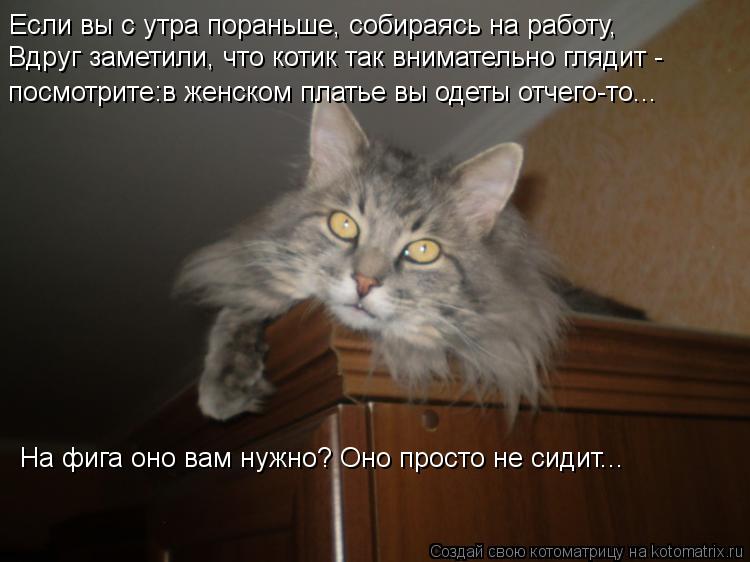 Если вы с утра пораньше, собираясь на работу, Вдруг заметили, что котик так внимательно глядит - На ф... Котоматрица: Если вы с утра пораньше, собираясь на работу, Вдруг заметили, что котик так внимательно глядит - На фига оно вам нужно? Оно просто не сидит... п