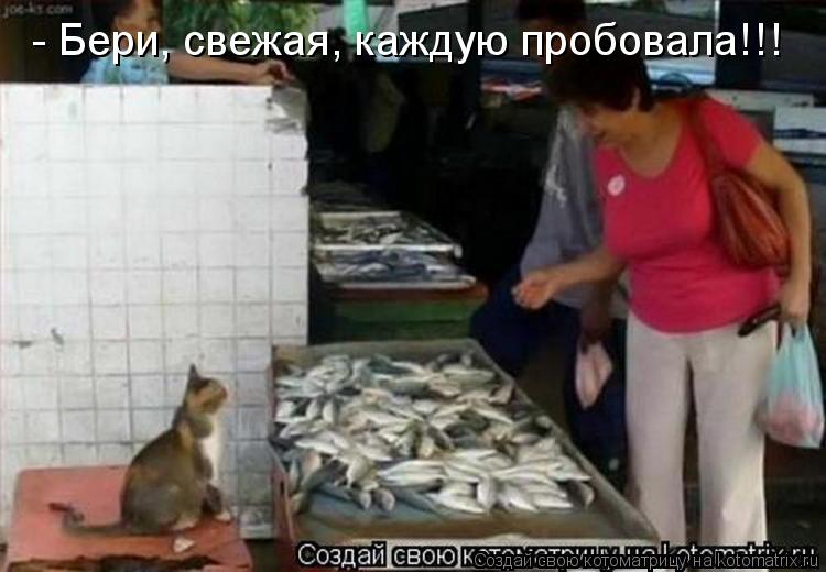 - Бери, свежая, каждую пробовала!!!... Котоматрица: - Бери, свежая, каждую пробовала!!!