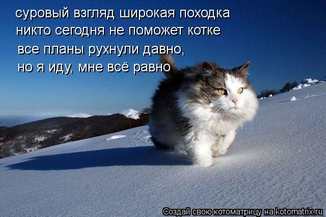 суровый взгляд широкая походка никто сегодня не поможет котке все планы рухнули давно, но я иду, мне ... Котоматрица: суровый взгляд широкая походка никто сегодня не поможет котке все планы рухнули давно, но я иду, мне всё равно