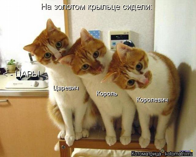 На золотом крыльце сидели: < - ЦАРЬ! Царевич Король Королевич... Котоматрица: На золотом крыльце сидели: < - ЦАРЬ! Царевич Король Королевич