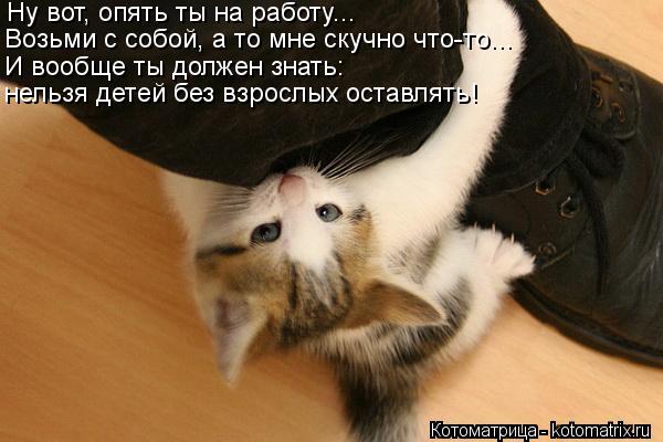 Ну вот, опять ты на работу... Возьми с собой, а то мне скучно что-то... И вообще ты должен знать: нел... Котоматрица: Ну вот, опять ты на работу... Возьми с собой, а то мне скучно что-то... И вообще ты должен знать: нельзя детей без взрослых оставлять!