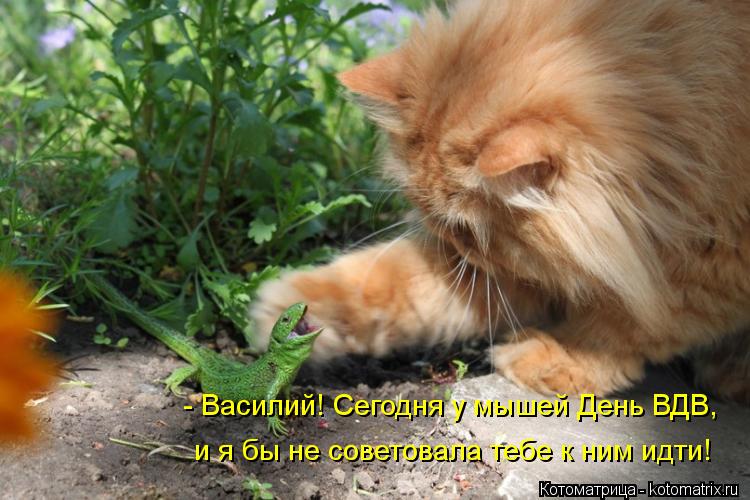 - Василий! Сегодня у мышей День ВДВ, и я бы не советовала тебе к ним идти!... Котоматрица: - Василий! Сегодня у мышей День ВДВ, и я бы не советовала тебе к ним идти!