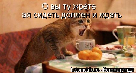 О вы ту жрёте ая сидеть должен и ждать... Котоматрица: О вы ту жрёте ая сидеть должен и ждать