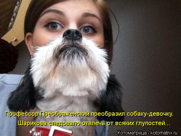 Профессор Преображенский преобразил собаку-девочку. Шарикова следовало отвлечь от всяких глупостей...... Котоматрица: Профессор Преображенский преобразил собаку-девочку. Шарикова следовало отвлечь от всяких глупостей...