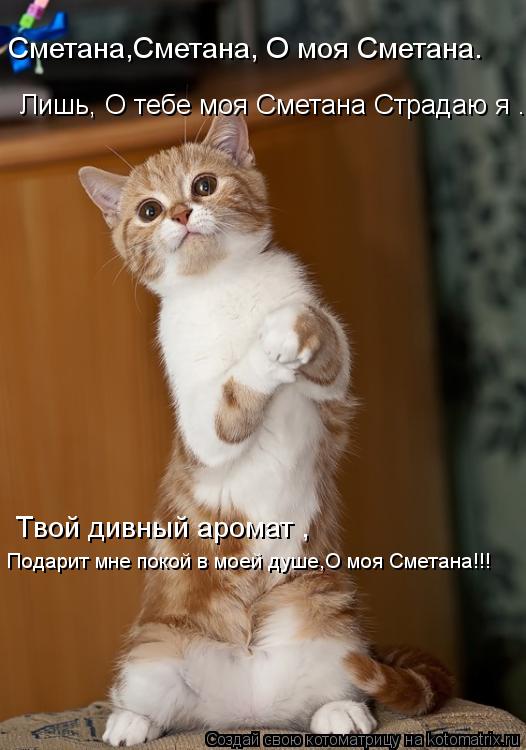 Лишь, О тебе моя Сметана Страдаю я . Сметана,Сметана, О моя Сметана. Твой дивный аромат , Подарит мне... Котоматрица: Лишь, О тебе моя Сметана Страдаю я . Сметана,Сметана, О моя Сметана. Твой дивный аромат , Подарит мне покой в моей душе,О моя Сметана!!!