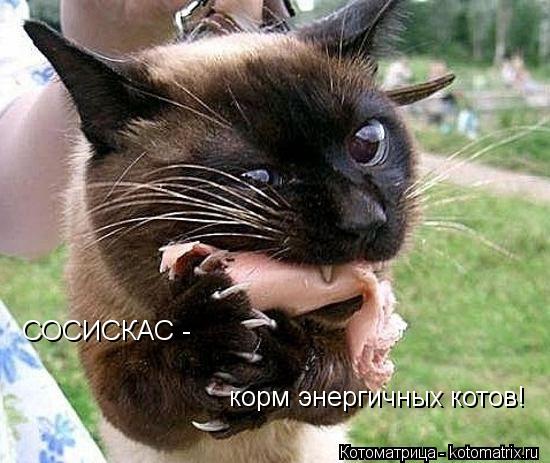 СОСИСКАС - корм энергичных котов!... Котоматрица: СОСИСКАС - корм энергичных котов!