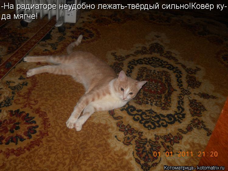 -На радиаторе неудобно лежать-твёрдый сильно!Ковёр ку- да мягче!... Котоматрица: -На радиаторе неудобно лежать-твёрдый сильно!Ковёр ку- да мягче!