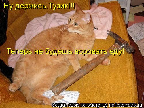 Ну держись,Тузик!!! Теперь не будешь воровать еду!... Котоматрица: Ну держись,Тузик!!! Теперь не будешь воровать еду!