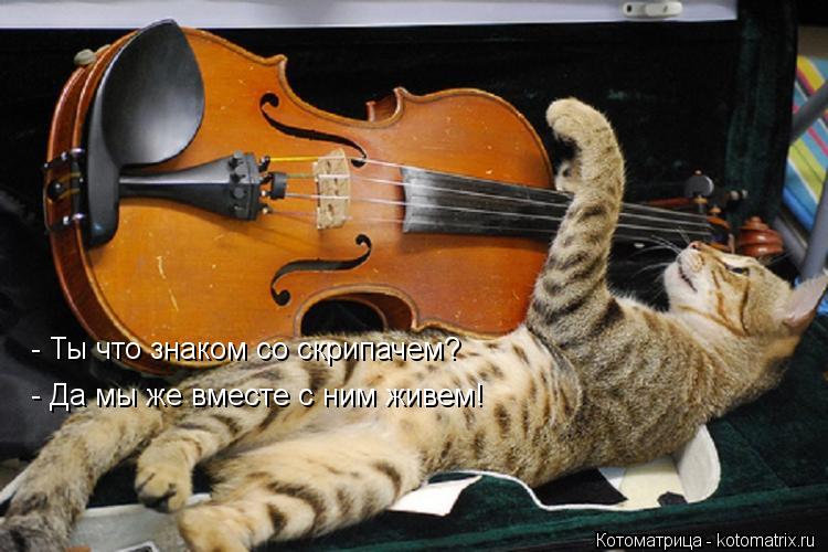 - Ты что знаком со скрипачем? - Да мы же вместе с ним живем!... Котоматрица: - Ты что знаком со скрипачем? - Да мы же вместе с ним живем!