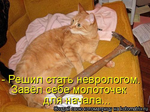 - Решил стать неврологом. Завёл себе молоточек для начала...... Котоматрица: - Решил стать неврологом. Завёл себе молоточек для начала...