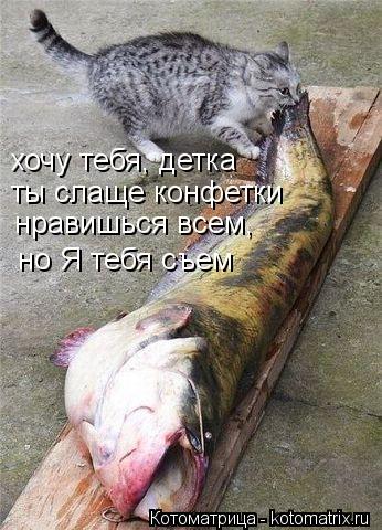 хочу тебя, детка ты слаще конфетки нравишься всем, но Я тебя съем... Котоматрица: хочу тебя, детка ты слаще конфетки нравишься всем, но Я тебя съем