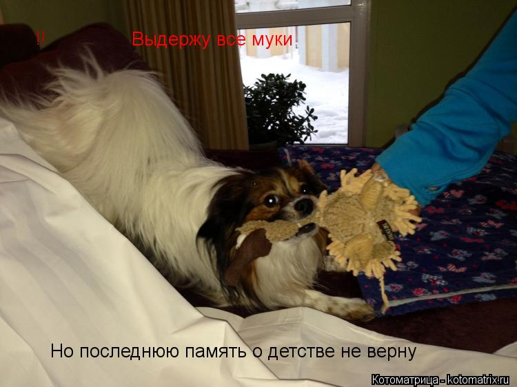 Выдержу все муки Но последнюю память о детстве не верну Но последнюю память о детстве не верну !!... Котоматрица: Выдержу все муки Но последнюю память о детстве не верну Но последнюю память о детстве не верну !!