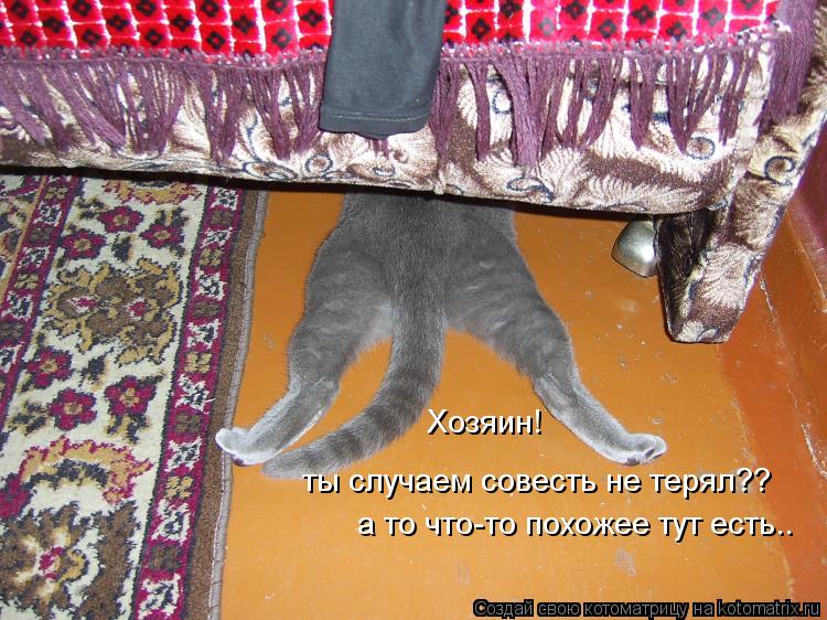 Хозяин! ты случаем совесть не терял?? а то что-то похожее тут есть..... Котоматрица: Хозяин! ты случаем совесть не терял?? а то что-то похожее тут есть..