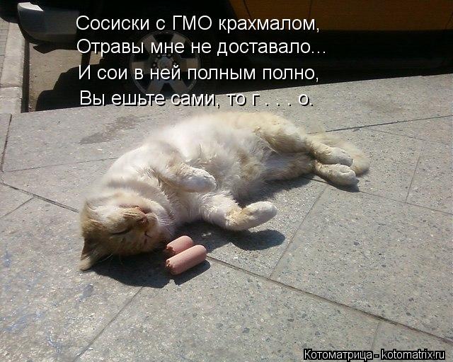 Сосиски с ГМО крахмалом, Отравы мне не доставало... И сои в ней полным полно, Вы ешьте сами, то г . .... Котоматрица: Сосиски с ГМО крахмалом, Отравы мне не доставало... И сои в ней полным полно, Вы ешьте сами, то г . . . о.
