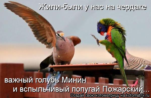 Жили-были у нас на чердаке важный голубь Минин и вспыльчивый попугай Пожарский...... Котоматрица: Жили-были у нас на чердаке важный голубь Минин и вспыльчивый попугай Пожарский...