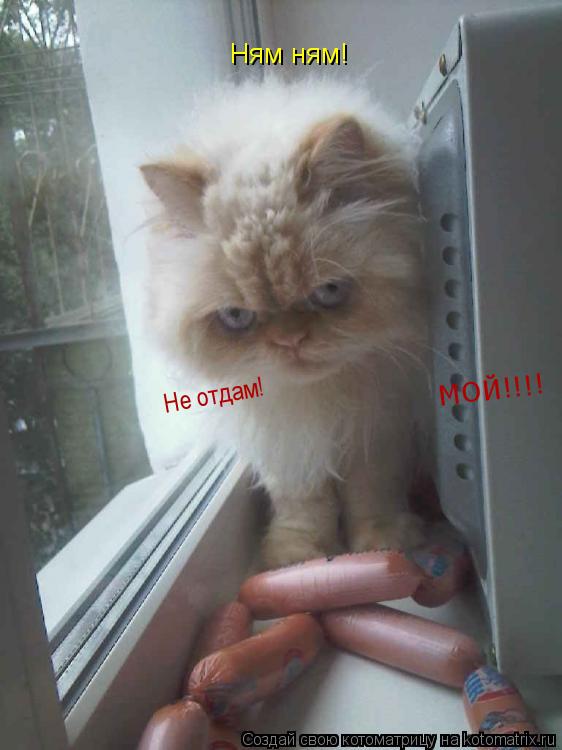 Котоматрица: Ням ням! МОЙ!!!! Не отдам!