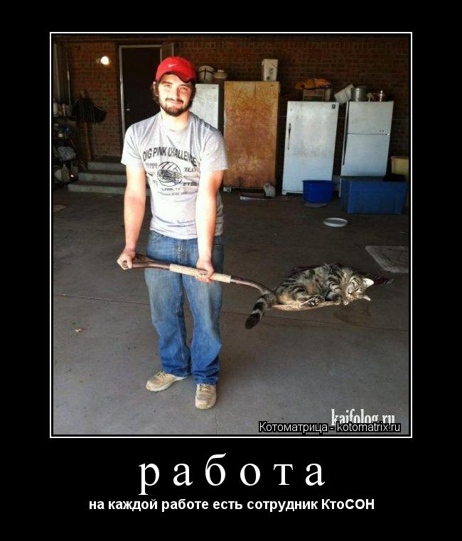работа на каждой работе есть сотрудник КтоСОН... Котоматрица: работа на каждой работе есть сотрудник КтоСОН