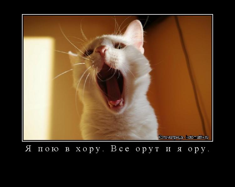 Я пою в хору. Все орут и я ору. ... Котоматрица: Я пою в хору. Все орут и я ору.