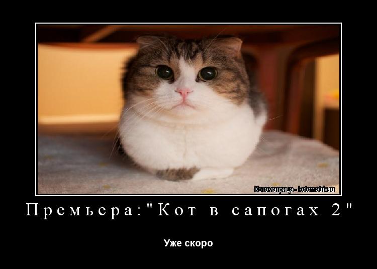 Премьера:"Кот в сапогах 2" Уже скоро... Котоматрица: Премьера:"Кот в сапогах 2" Уже скоро