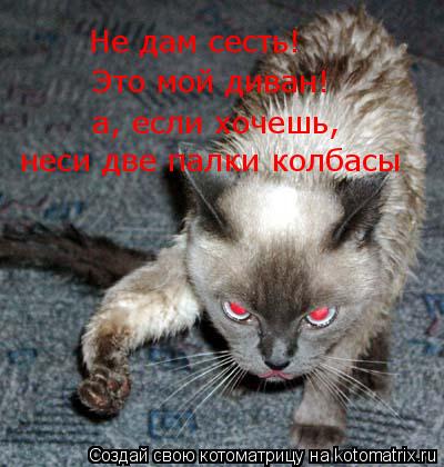 Не дам сесть! Не дам сесть! Это мой диван! а, если хочешь, неси две палки колбасы... Котоматрица: Не дам сесть! Не дам сесть! Это мой диван! а, если хочешь, неси две палки колбасы