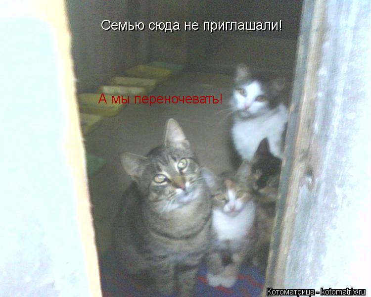 Семью сюда не приглашали! А мы переночевать!... Котоматрица: Семью сюда не приглашали! А мы переночевать!
