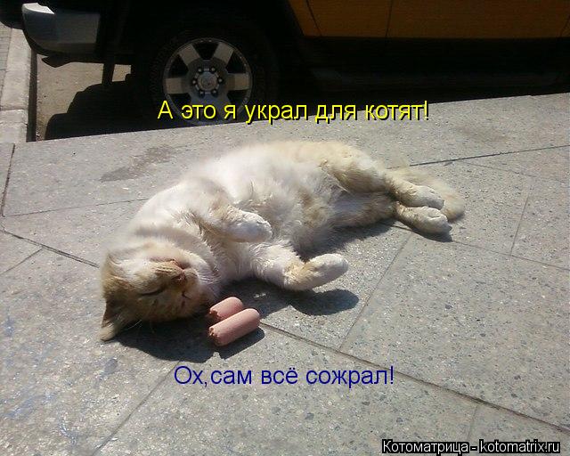 А это я украл для котят! Ох,сам всё сожрал!... Котоматрица: А это я украл для котят! Ох,сам всё сожрал!