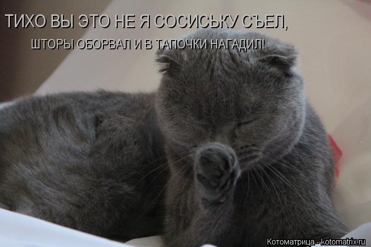 ТИХО ВЫ ЭТО НЕ Я СОСИСЬКУ СЪЕЛ, ШТОРЫ ОБОРВАЛ И В ТАПОЧКИ НАГАДИЛ!... Котоматрица: ТИХО ВЫ ЭТО НЕ Я СОСИСЬКУ СЪЕЛ, ШТОРЫ ОБОРВАЛ И В ТАПОЧКИ НАГАДИЛ!