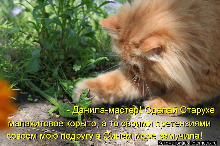 - Данила-мастер! Сделай Старухе малахитовое корыто, а то своими претензиями совсем мою подругу в Сине... Котоматрица: - Данила-мастер! Сделай Старухе малахитовое корыто, а то своими претензиями совсем мою подругу в Синем море замучила!