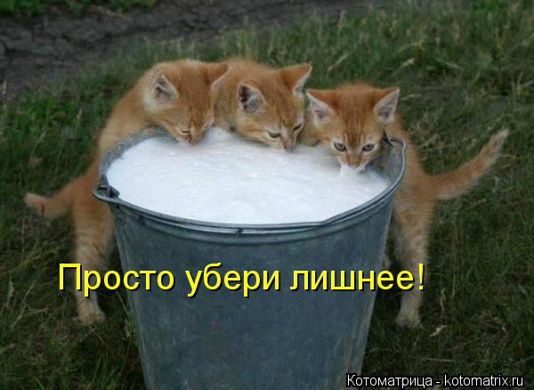 Котоматрица: Просто убери лишнее!