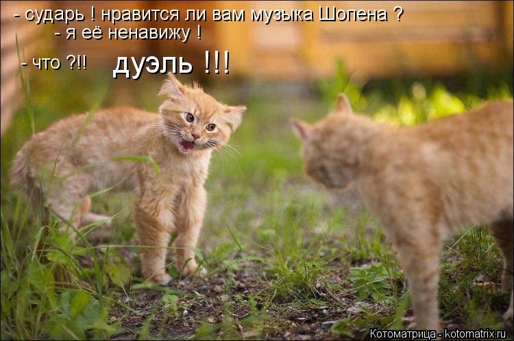 - сударь ! нравится ли вам музыка Шопена ? - я её ненавижу ! - что ?!! дуэль !!!... Котоматрица: - сударь ! нравится ли вам музыка Шопена ? - я её ненавижу ! - что ?!! дуэль !!!