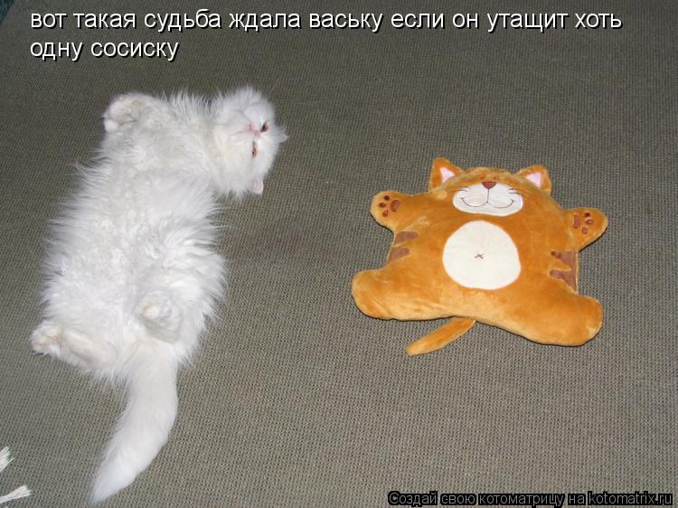 Котоматрица: вот такая судьба ждала ваську если он утащит хоть одну сосиску