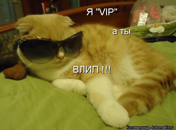 Котоматрица: Я "VIP" а ты ВЛИП !!!